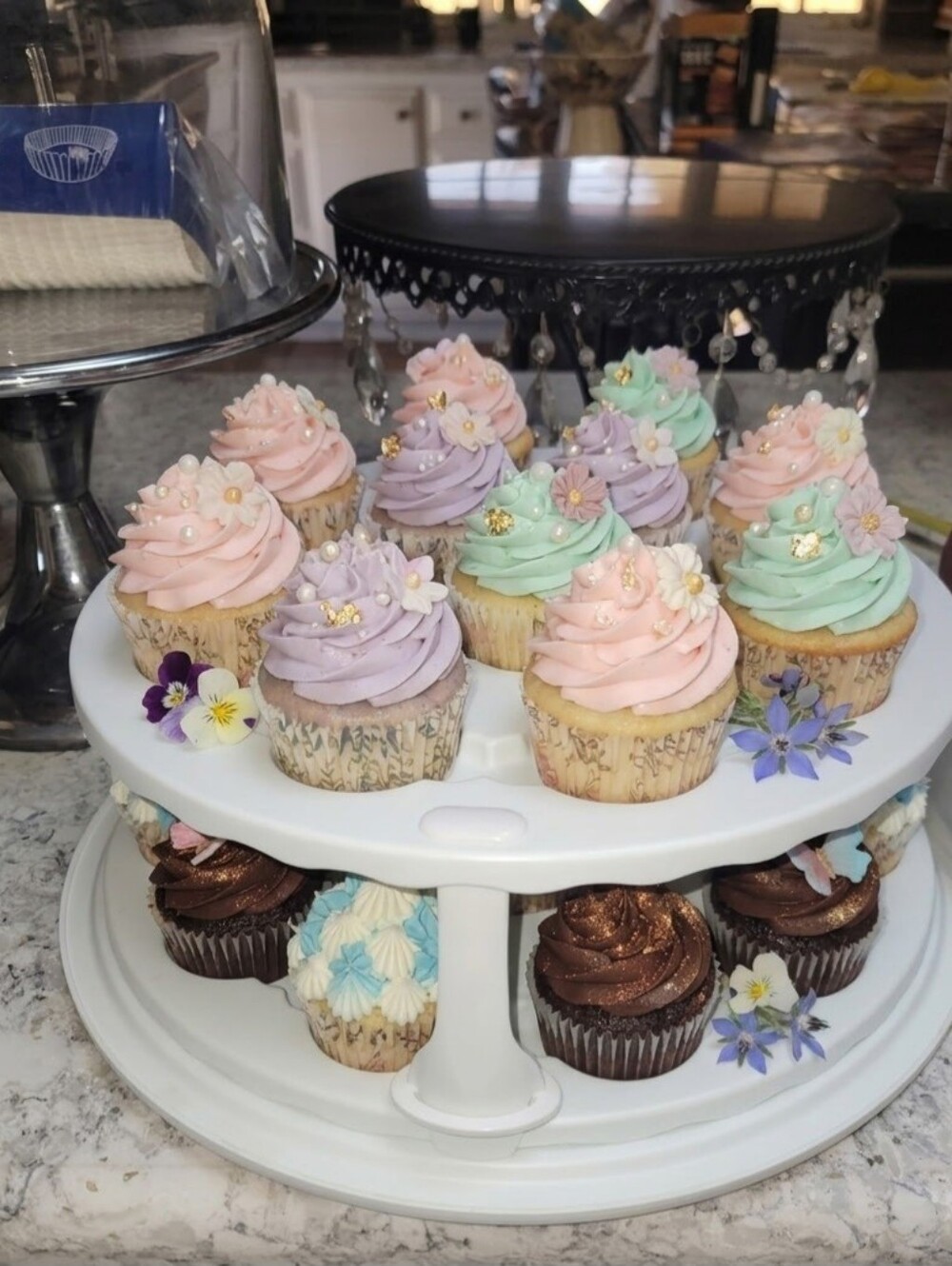 Multifunctional Cupcake/Cake Transporter w/ 500 Baking Cups 🎂🧁